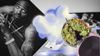 Cannabis marketplace settles legal dispute over Tupac photo