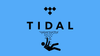 Tidal to make up to a quarter of its employees redundant