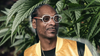 Snoop Dogg told he can’t trademark ‘Smoke Weed Everyday’