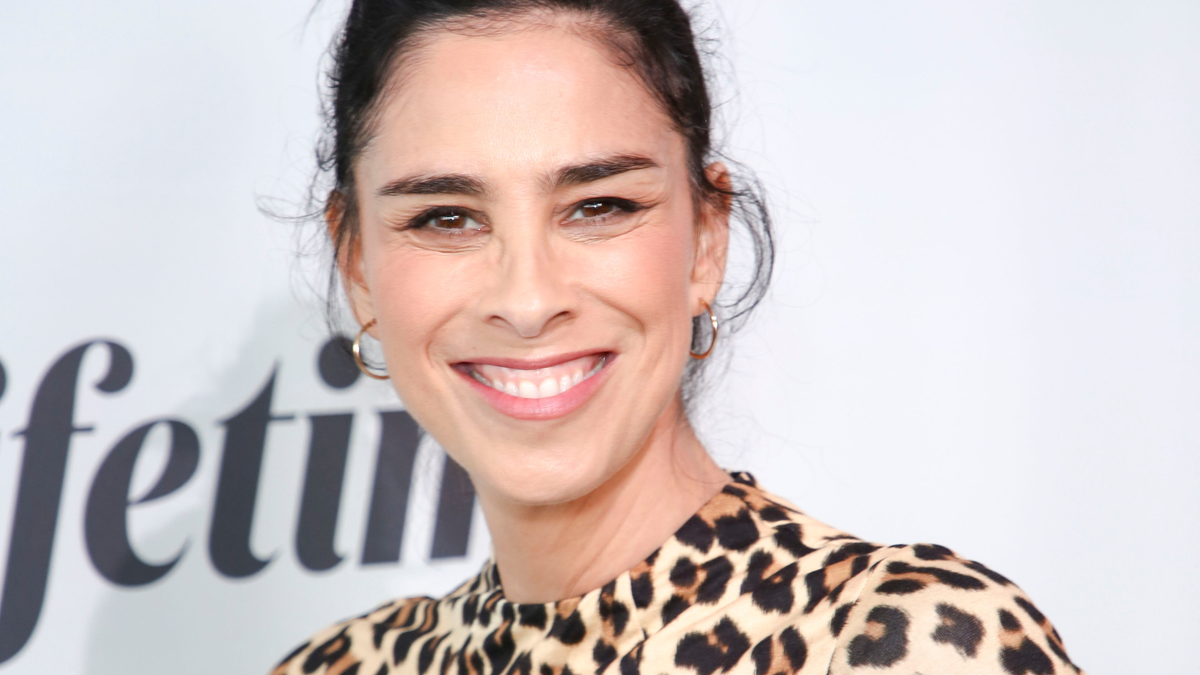 Sarah Silverman Mistakes Construction Markers for 'Attempt at