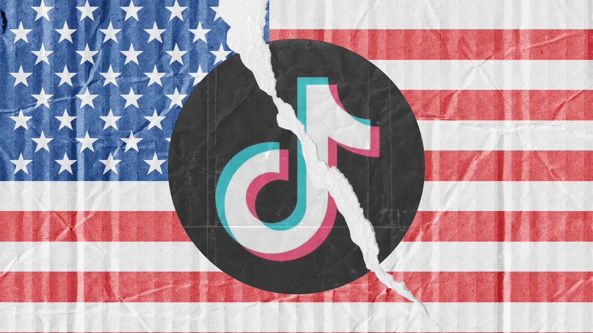 TikTok requests emergency injunction after judges warn app will be