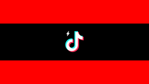 TikTok criticised over missing safety features in its Lite app